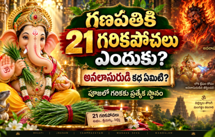 Vinayakudiki Garika enduku ishtam: వినాయకుడికి గరిక ఎందుకు అంత ఇష్టం? దీని వెనుక ఉన్న పురాణ కథ ఇదే!