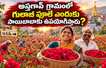 Image accompanying: Astagaon: అస్తగావ్ గ్రామం లో గులాబి పూలే ఎందుకు సాయి బాబా కు ఉపయోగిస్తారు?