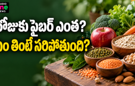 Fiber Rich Foods: రోజుకు ఫైబర్ ఎంత అవసరం? మన ఆహారంలో ఎలా పెంచుకోవాలి?