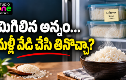 Reheating Rice: మిగిలిన అన్నాన్ని మళ్లీ వేడి చేసి తినొచ్చా? నిల్వలో తీసుకోవాల్సిన జాగ్రత్తలు