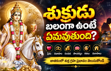 జాతకంలో శుక్ర గ్రహ ప్రభావం శుక్రుడు