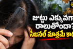 జుట్టు రాలడం కారణాలు seasonal hair fall hair care