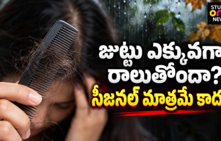 జుట్టు రాలడం: సెప్టెంబర్–అక్టోబర్‌లో ఎందుకు ఎక్కువగా కనిపిస్తుంది? 7 కారణాలు