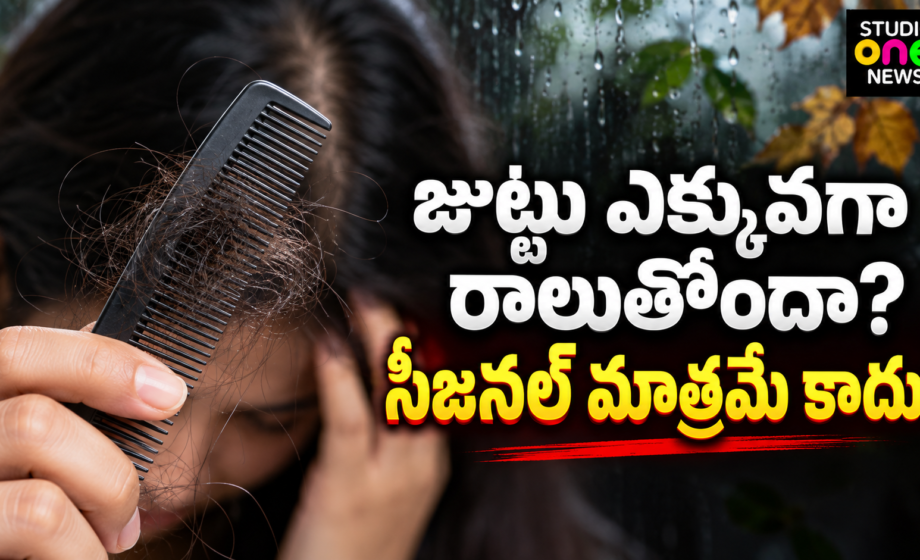 జుట్టు రాలడం కారణాలు seasonal hair fall hair care
