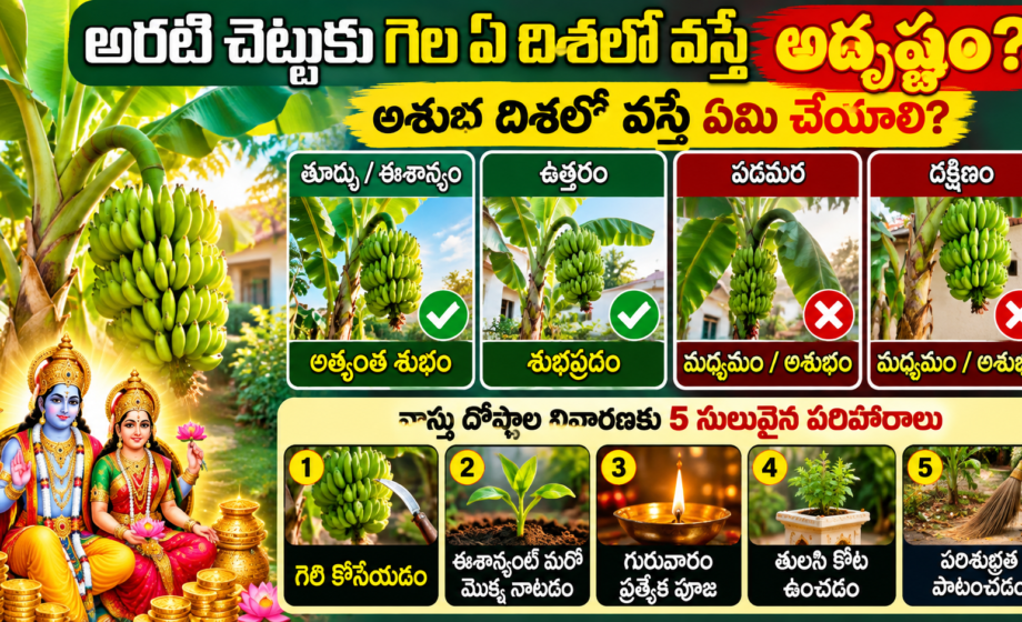 అరటి గెల ఏ దిశలో వస్తే శుభం? Banana Tree Vastu