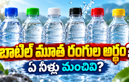 Water Bottle Cap Colours మూత రంగుతో నీటి నాణ్యత తెలుస్తుందా?