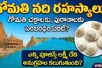 gomati chakralu,benefits