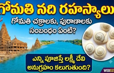 Gomati Chakralu: గోమతి చక్రాలు అంటే ఏమిటి? వాటి విశిష్టతలు, ఉపయోగాలు.. ఎలాంటివి కొనాలి?