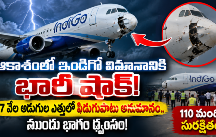 ఆకాశంలో ఇండిగో విమానానికి భారీ షాక్! Indigo Flight