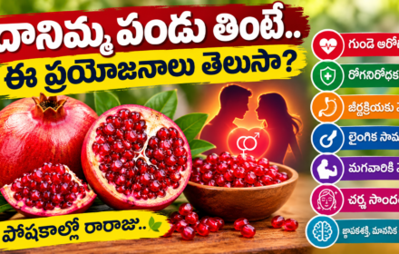 pomegranate benefits: దానిమ్మ పండు తింటే మగ వారి లో ‘ఆ’ శక్తి పెరుగుతుందా? గుండె ఆరోగ్యం నుంచి చర్మ సౌందర్యం వరకు ఎన్నో లాభాలు!