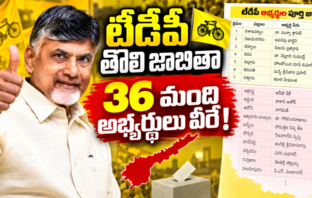 AP Municipal Elections 2026, TDP Candidates List,
