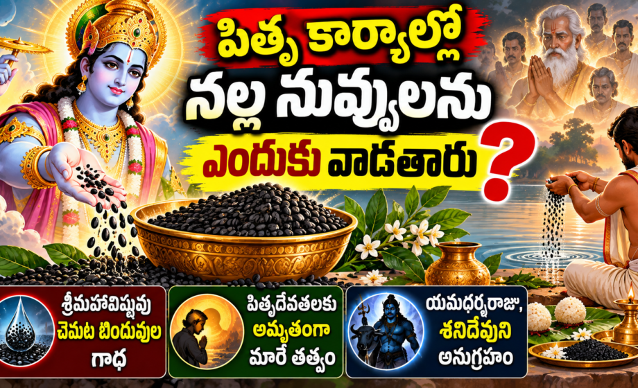 pitru tarpanam, నల్ల నువ్వులు