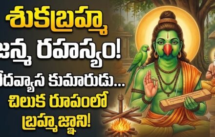 Shuka Maharshi, శుకబ్రహ్మ మహర్షి