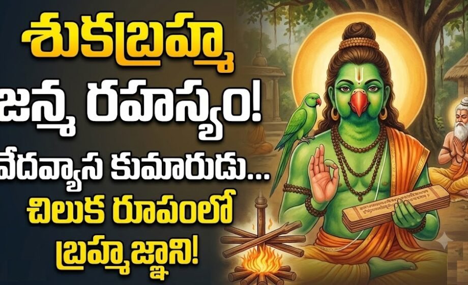 Shuka Maharshi, శుకబ్రహ్మ మహర్షి