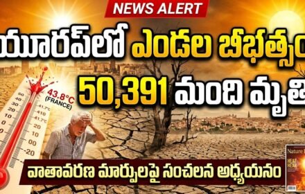 Europe Heatwave 2026: యూరప్‌లో 43 డిగ్రీల ఎండల భీబత్సం.. 50,391 మంది మృతి! Elnino కారణమా?