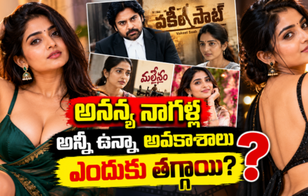అనన్య నాగళ్ల స్టార్ హీరోయిన్ కాలేదెందుకు? అభినయం ఉన్నా అవకాశాలు ఎందుకు తగ్గాయి?ananya nagalla