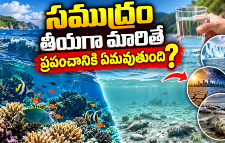 Ocean Water: సముద్రం నీరు తీయగా మారితే ఏమవుతుంది?