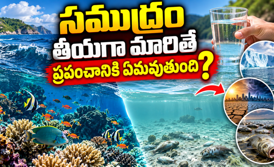 సముద్రం-తీయగా-మారితే